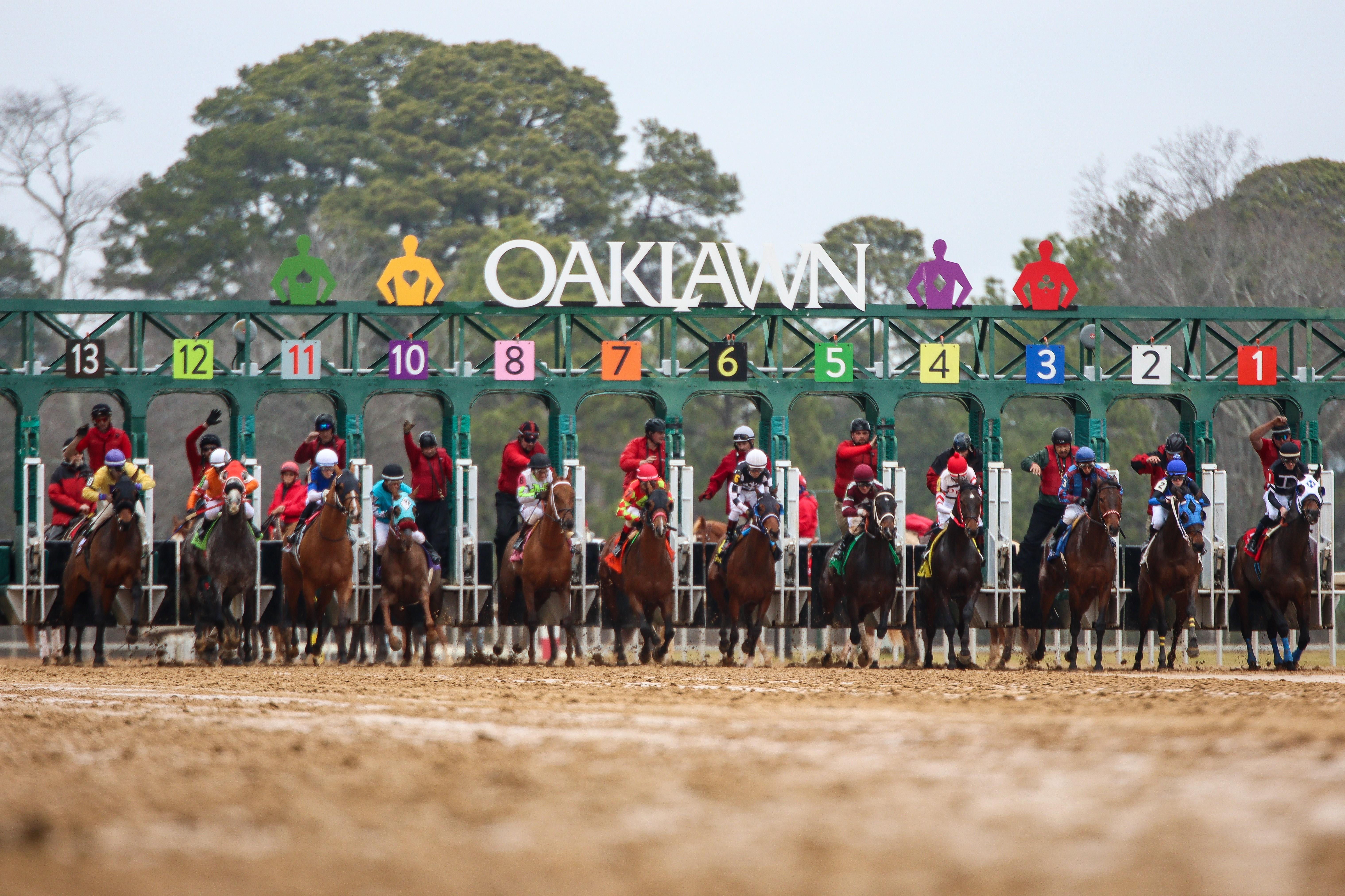 Oaklawn Starting Gate